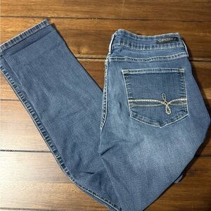 Denizen from Levi's Women's Denim Straight Leg Jeans